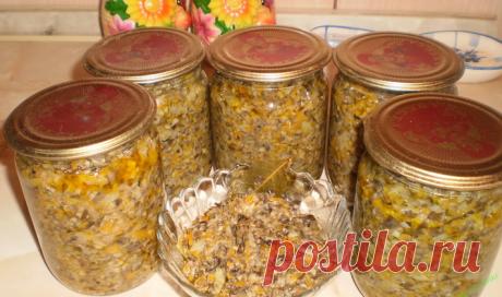 Рецепты грибной икры из белых и черных груздей на зиму: как приготовить закуску из грибов