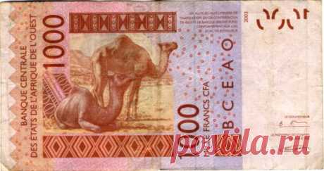 (5) Одноклассники