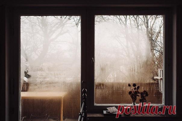 И пусть осень запоет свою победную песнь! Отжелтели яркими пожарами лиственные леса, окутали холодные туманы хрупкость осенней природы, и зажглись в домах теплые огни. В воздухе слышен легкий морозец, запах яблок сменяется на запах хвои и северного ветра. Но и это время - сказка. Сказка засыпающей природы под тихую колыбель уходящей осени!

— Виктория Дорн.