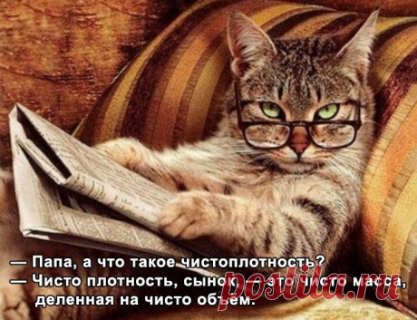 О чем шутят ученые