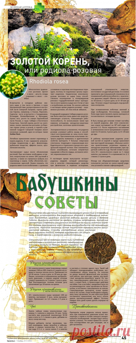 Родиола розовая или золотой корень