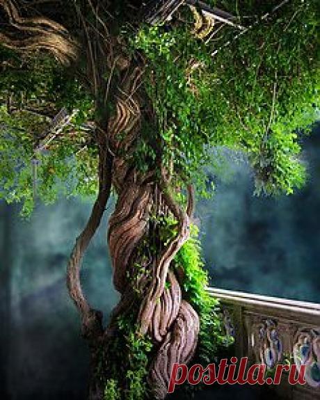 Magestic Trees