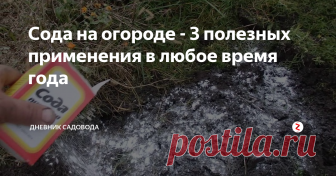 Сода на огороде - 3 полезных применения в любое время года Сода - универсальное средство на огороде, которые приносит огромную пользу, но самое удивительное что стоит она относительно недорого и купить её можно в любом продуктовом магазине.
Сейчас я расскажу вам, о том где я применяю соду осенью на огороде, самые лучшие рецепты, о которых не многие догадываются.
Избавит почву от кислотности
Соду я иногда засыпаю напрямую или готовлю раствор.