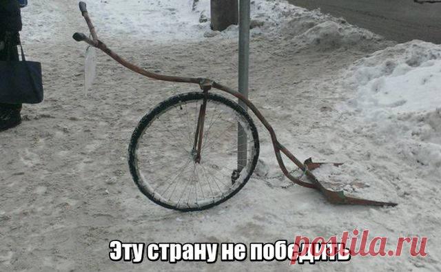 Прикольные картинки (22 фото) - Подборка прикольных и смешных картинок. Хорошего настроения от просмотра подборки картинок.