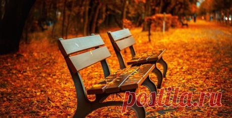 Осенний листопад