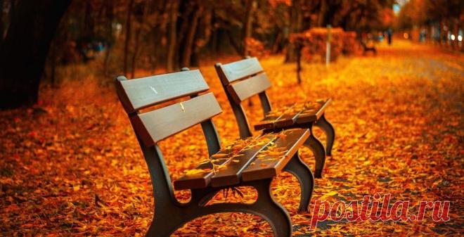 Осенний листопад