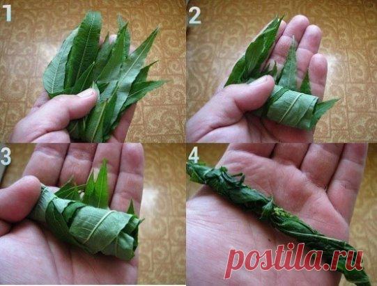 ЗАГОТОВКА ИВАН - ЧАЯ. Личный опыт из поселения.
Где-то прочитал информацию, что в 19 веке Копорский чай или Иван-чай поставлялся русскими купцами на экспорт в Европу в огромных количествах и очень высоко в Европе ценился. Да и наши пра-прадедушки и прабабушки сидя за столом с самоваром, наверняка пили не черный индийский, а этот замечательный, исконно русский чай. Захотелось возродить традицию приготовления Копорского чая, и вот, решив попробовать приготовить чай своими руками, хочу поделиться с