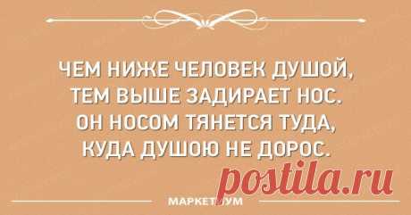 15 философских цитат Омара Хайяма, которые актуальны даже спустя сотни лет