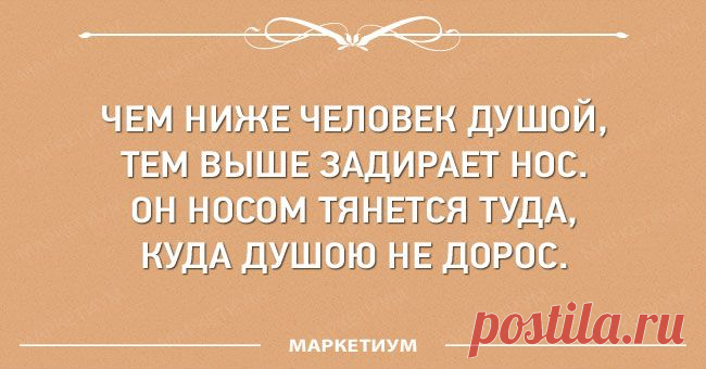 15 философских цитат Омара Хайяма, которые актуальны даже спустя сотни лет