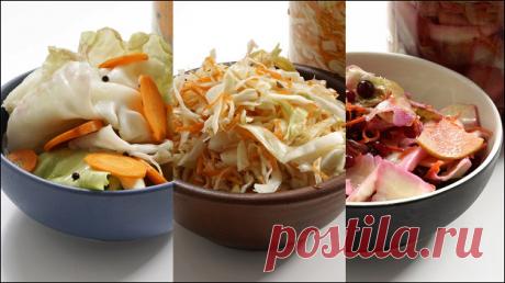 Капуста на зиму — три проверенных рецепта – «Еда»