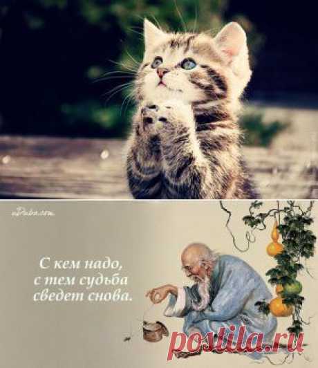 С кем надо, с тем судьба сведет снова | uDuba.com