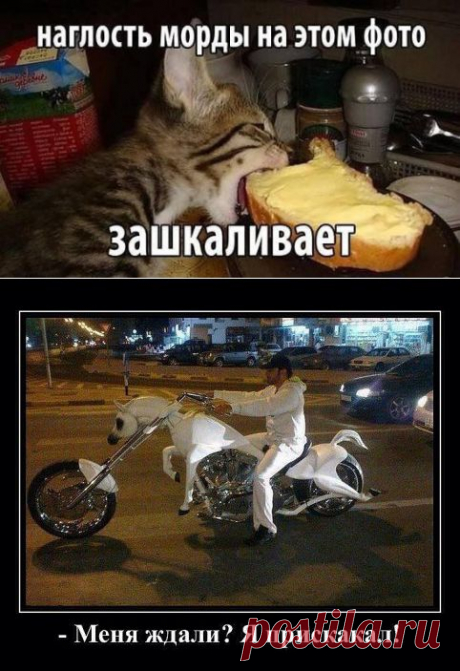 (99) Одноклассники