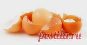 Яичная скорлупа vs аллергия и диатез