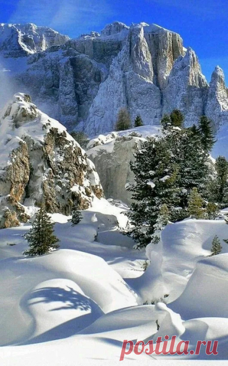 Google+