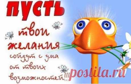 Прикольные поздравления с днем рождения.
