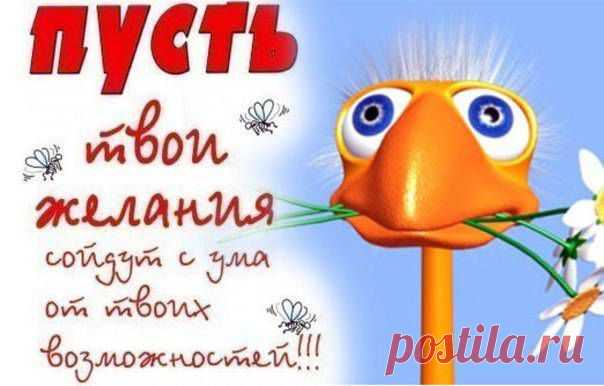 Прикольные поздравления с днем рождения.