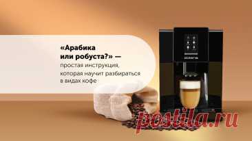 «Арабика или робуста?» — простая инструкция, которая научит разбираться в видах кофе | Polaris | Дзен