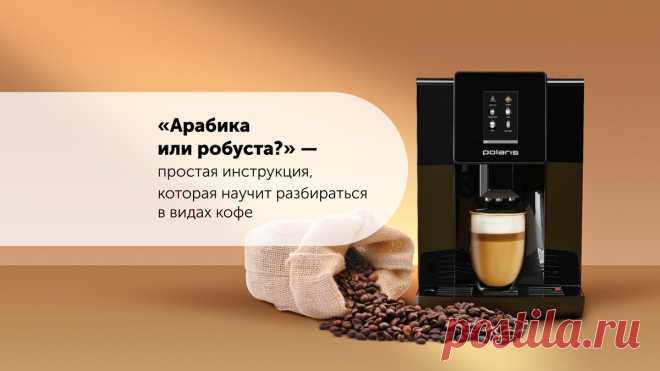 «Арабика или робуста?» — простая инструкция, которая научит разбираться в видах кофе | Polaris | Дзен