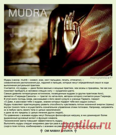Йога | Аюрведа | VK