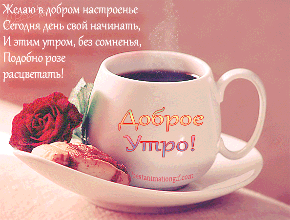 (2) Мой Мир@Mail.Ru