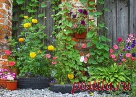 Сало в луковой шелухе | Готовим вместе