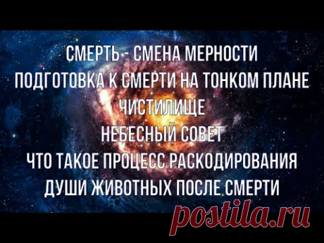 Смена мерности, небесный совет, чистилище, души животных.