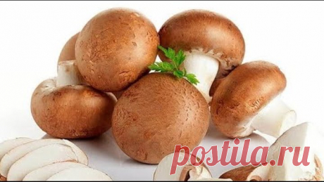 ПРОСТАЯ, Быстрая и Очень Вкусная ЗАКУСКА из Грибов. Шампиньоны с сыром в духовке