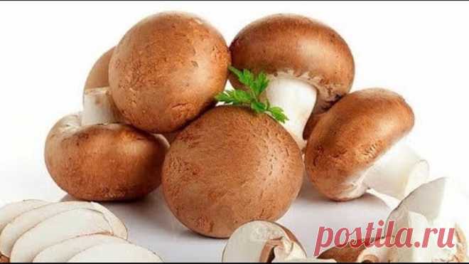 ПРОСТАЯ, Быстрая и Очень Вкусная ЗАКУСКА из Грибов. Шампиньоны с сыром в духовке