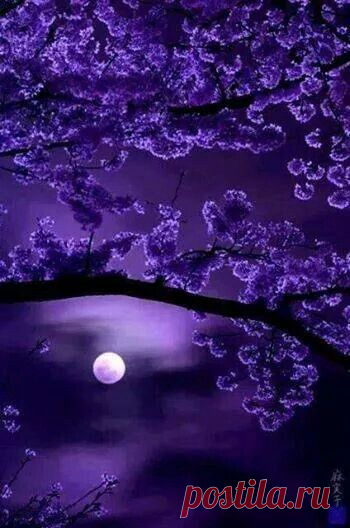 Найдено на сайте sparkleoflilac.tumblr.com.