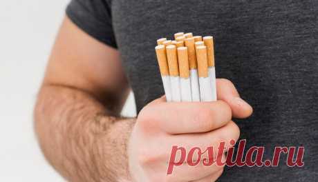 Исследование: цена сигареты – потерянный доход - СЕЗИМ NEWS