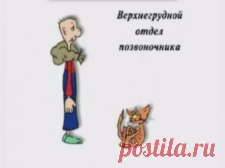 Дайджест информационного шума