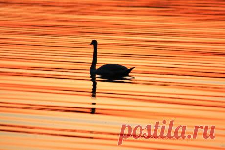 Фото Без названия. Альбом Солнечные фото Леонида Балякина - 50 фото. Фотографии Борис Аргунов.