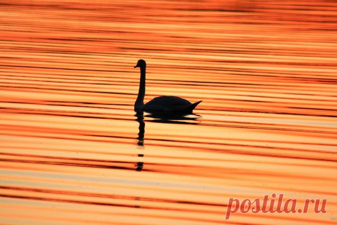 Фото Без названия. Альбом Солнечные фото Леонида Балякина - 50 фото. Фотографии Борис Аргунов.