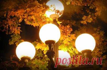 Уличное освещение и его виды
#уличное_освещение #электрика