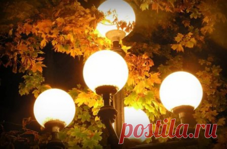 Уличное освещение и его виды
#уличное_освещение #электрика