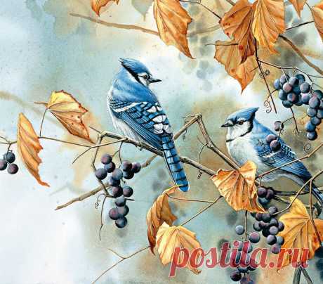 Пенье птиц... Художница Сьюзен Бордет (Susan Bourdet).