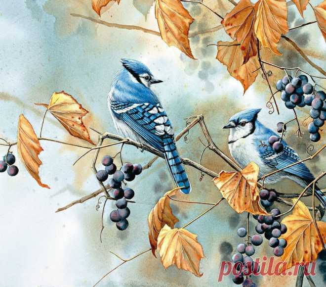 Пенье птиц... Художница Сьюзен Бордет (Susan Bourdet).