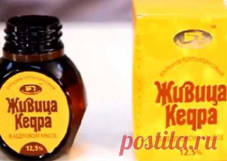 Живица кедровая-применение, отзывы