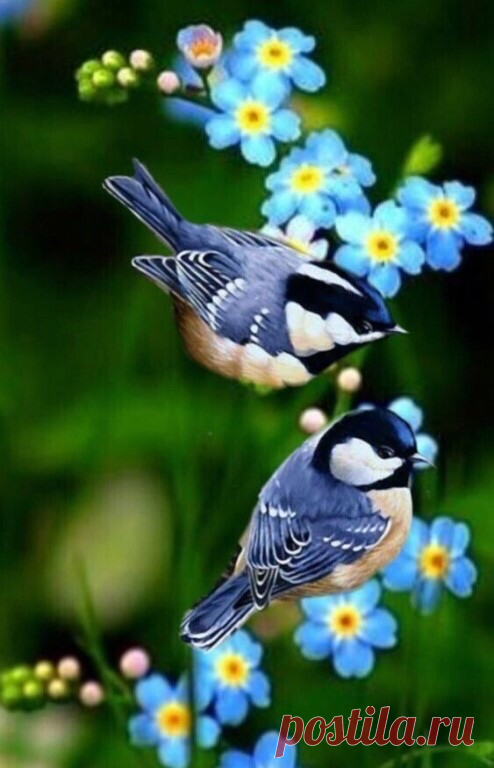 ༺🌸༻Доброго, весеннего нам Утречка!