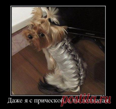 Женские секреты