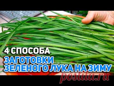 ПАСТА СОУС ИЗ ОСТАТКОВ ЗЕЛЕНИ/ЗЕЛЕНЫЕ ЩИ ЗАМОРОЗКА/ЛУК ЗЕЛЕНЫЙ ЗАГОТОВКА НА ЗИМУ@obovsemsmarusey