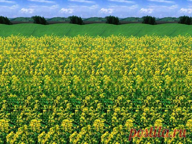 Стереокартинки (продолжение 14). / Фотошоп и я.