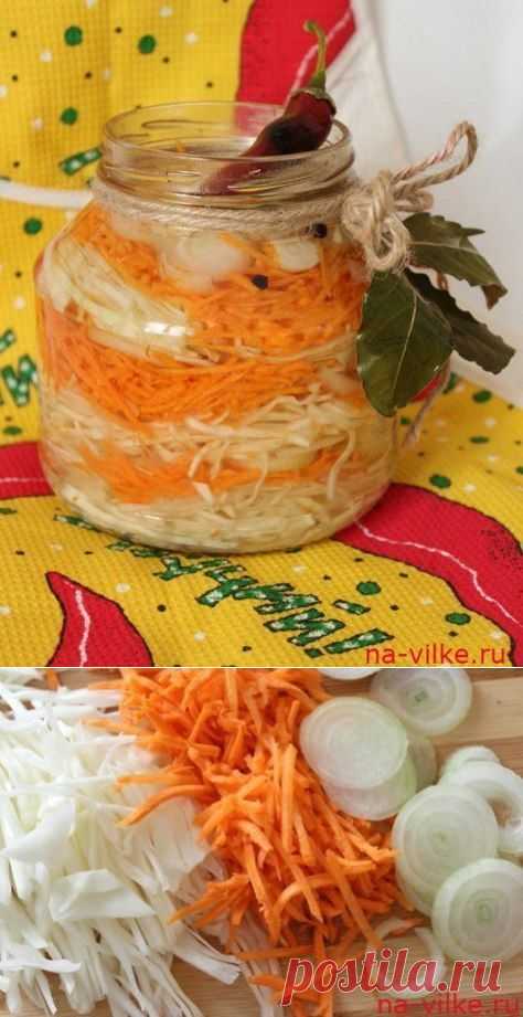 капуста быстрого посола