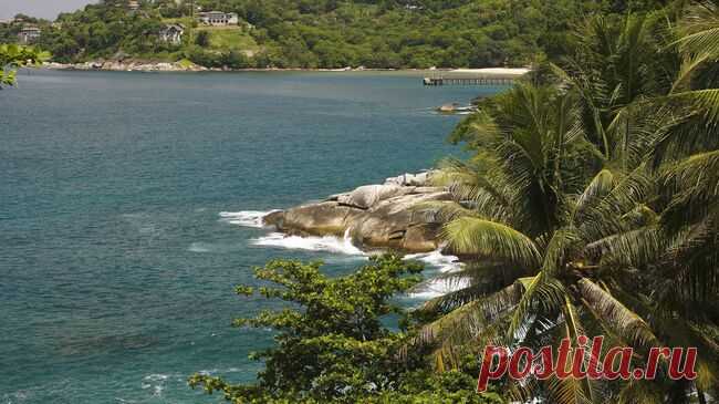 Дети бывшей жительницы Магадана, погибшей в Таиланде, вернулись в Россию