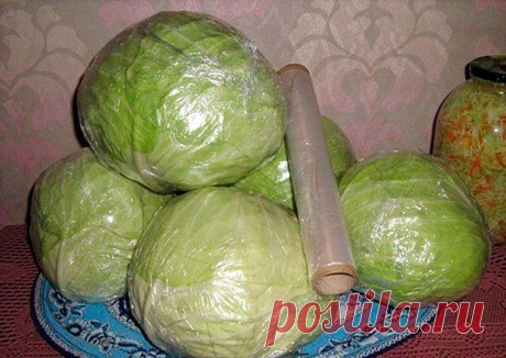 СВЕЖАЯ КАПУСТА ДО ЛЕТА !!!  **На помощь - обычная пищевая плёнка. Для начала: удали с кочанов порченные, желтевшие, сухие листья. Срежьте кочерыжку. Чистый кочан -герметично оберни пленкой в 2слоя, плотно приглаживая каждый. *Упакованную капусту укладывай в идеале -в ящики, но можно хранить на полках или мешках. В  месяц 1раз -проверяй. Если порча -сними пленку, обрежь, и снова заверни.