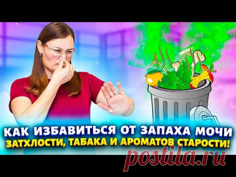 "ПРОЩЕ ПРОСТОГО": избавиться от запаха мочи, животных, сырости, затхлости, табака, дыма, плесени.