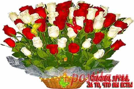 (57) Одноклассники