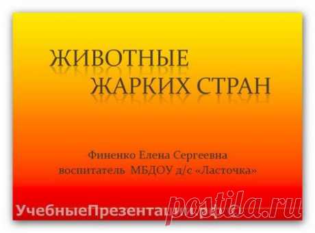 Презентация «Животные жарких стран» — Детские презентации