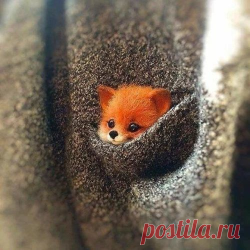 Милашка Модная одежда и дизайн интерьера своими руками