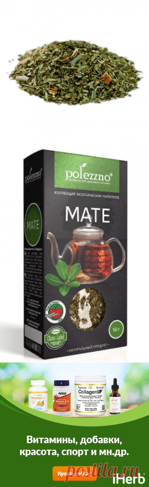 Йерба Мате — что это?